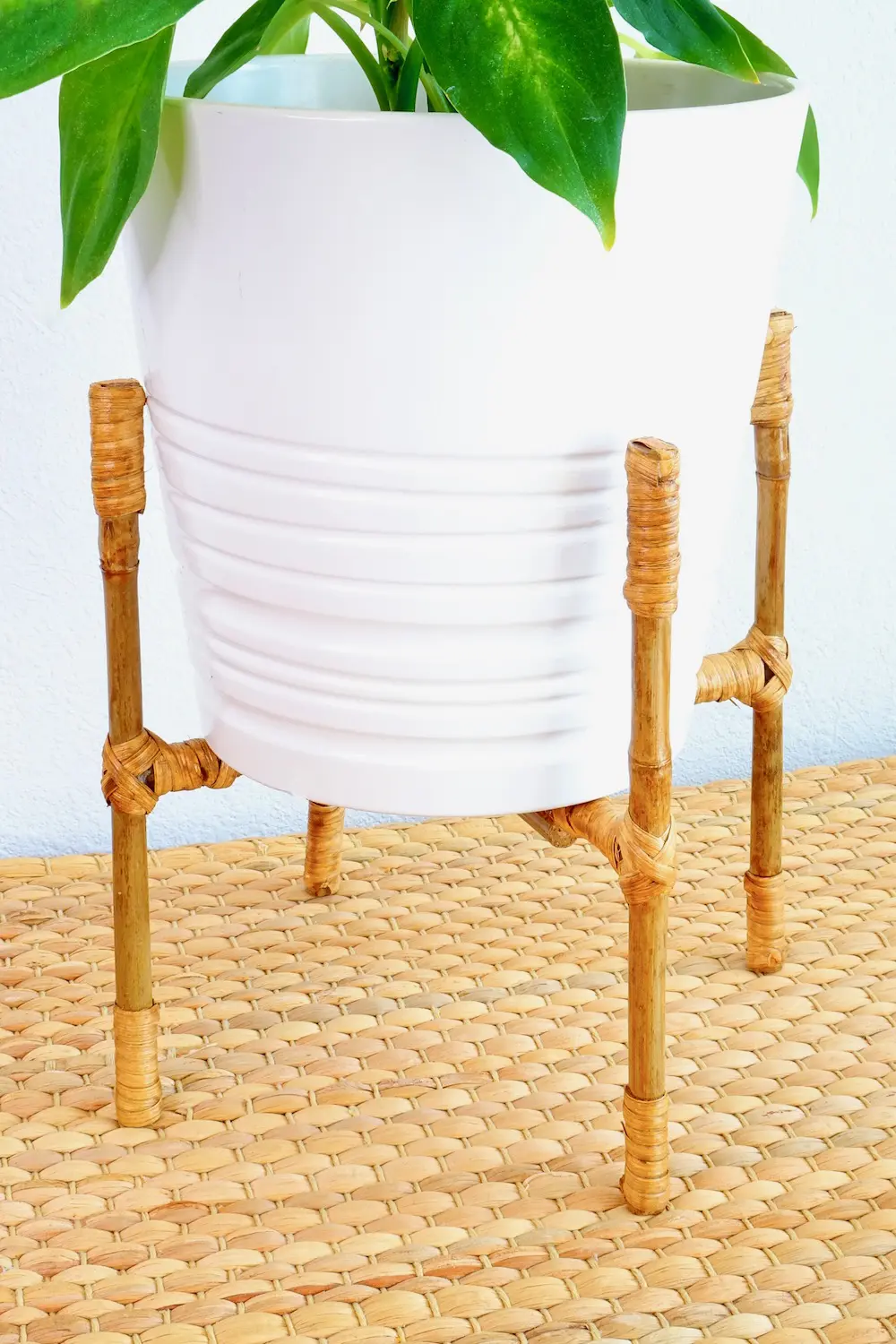 Bamboo DIY Plant Stand- very liv