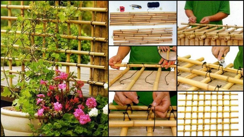 Bamboo Trellis- the owner builder network