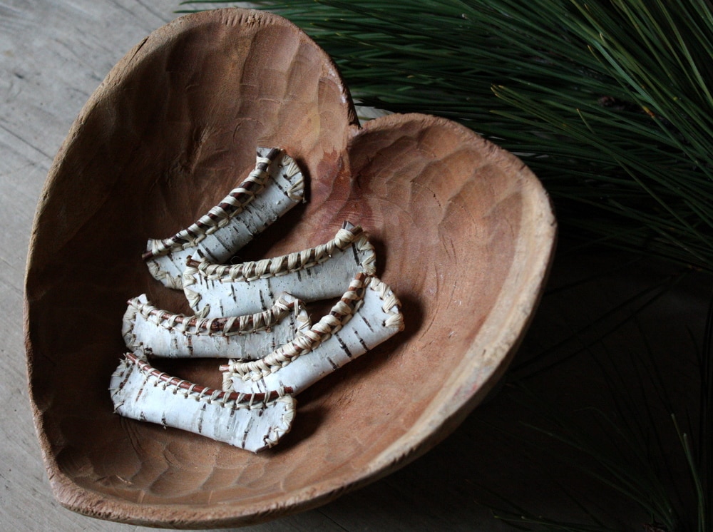 Birch bark canoe