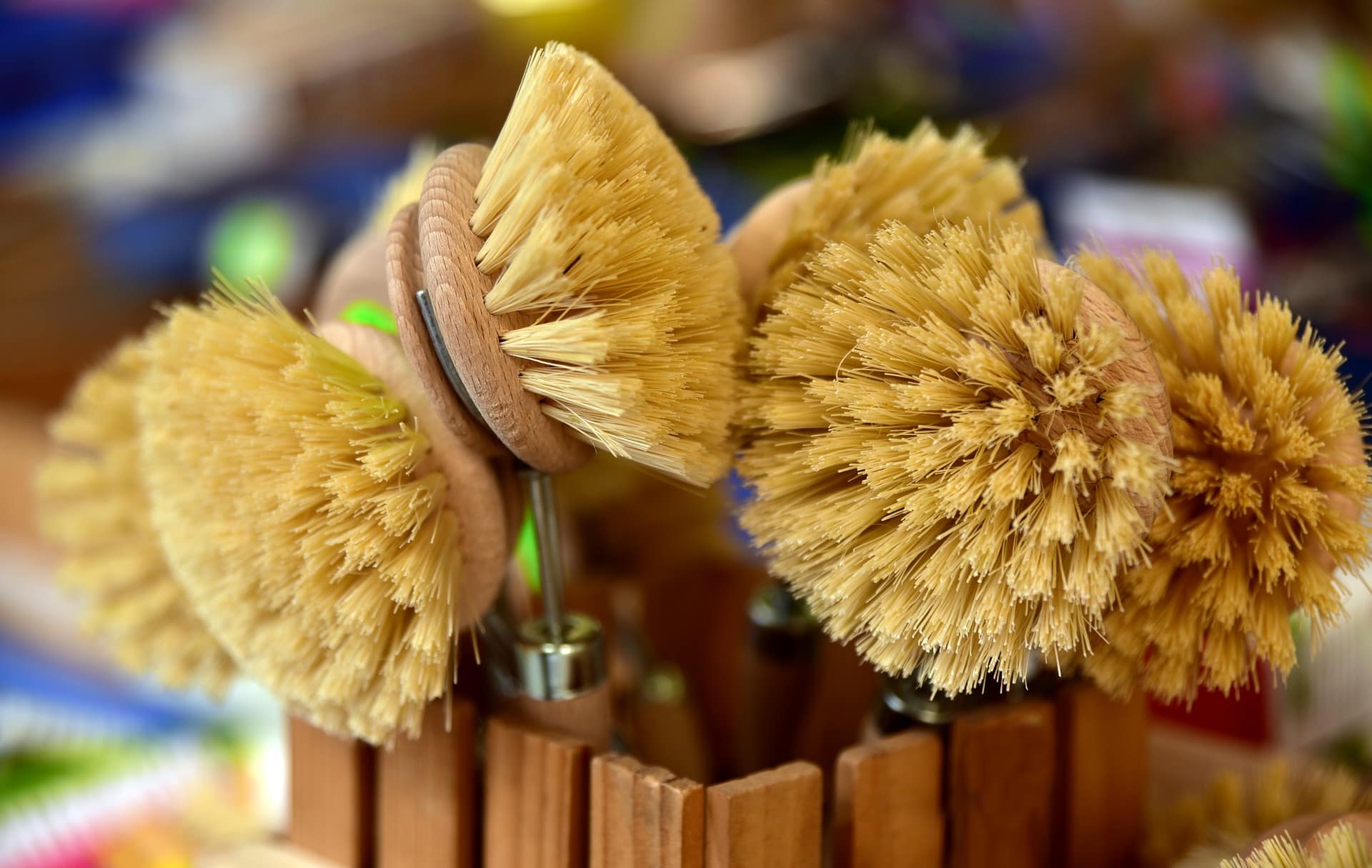 Bristle Brush