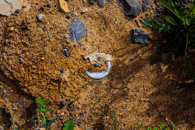 Coffee Ground