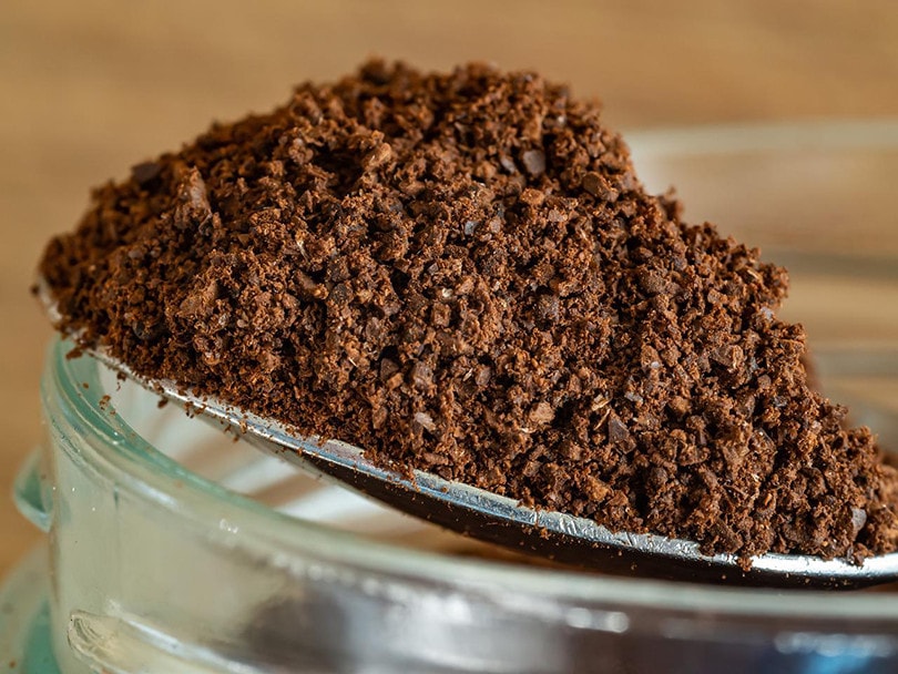 Coffee Grounds