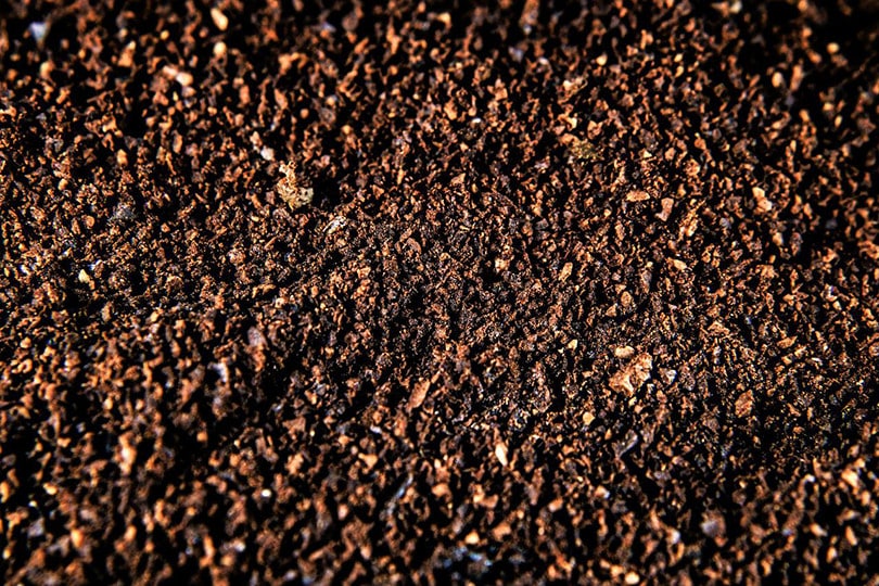 Coffee Grounds