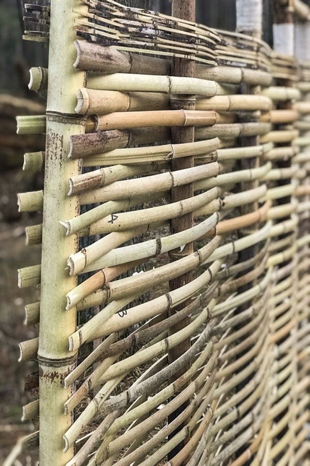 DIY Bamboo fencing