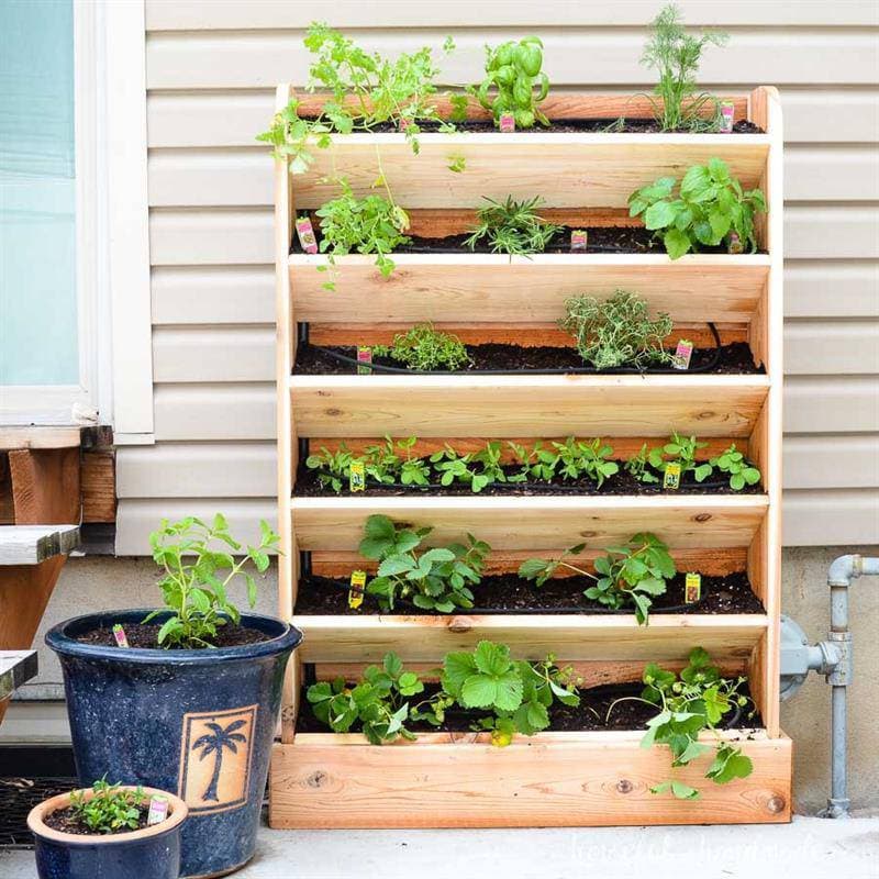 DIY Vertical Herb Garden