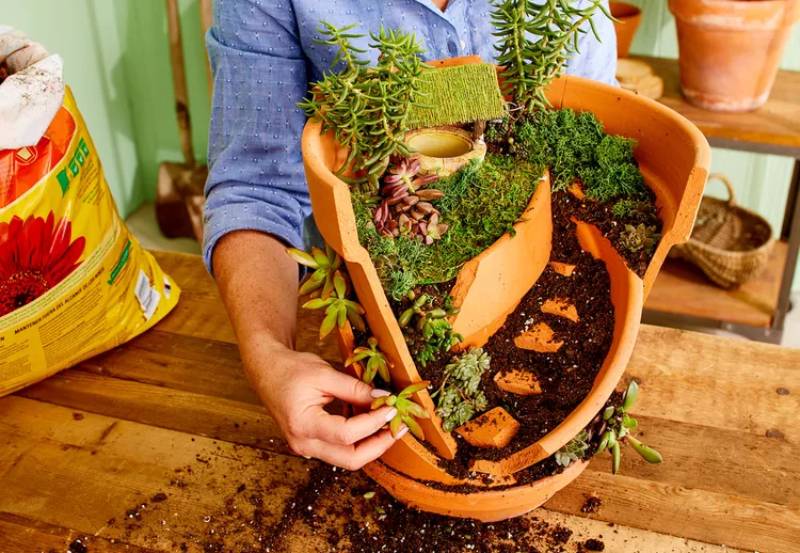 DIY broken pot fairy garden