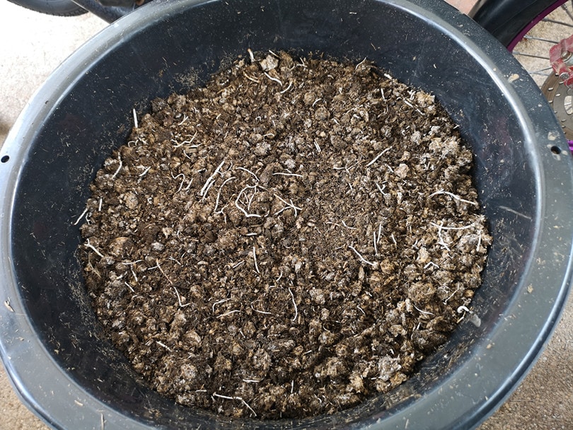 decompost