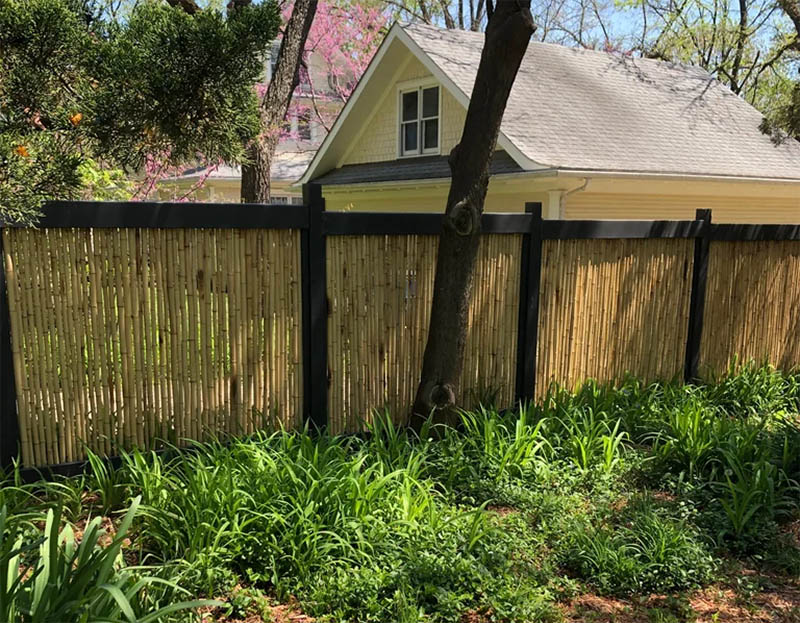Low-Effort Bamboo Fence
