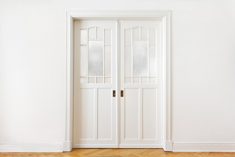Pocket Door