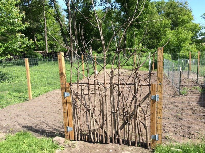 Rustic Garden Gate