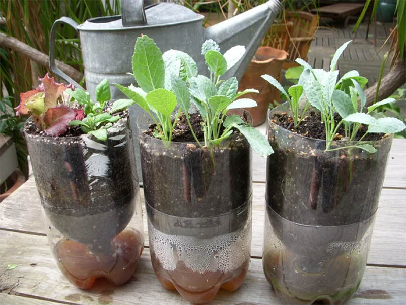 Soda Bottle System