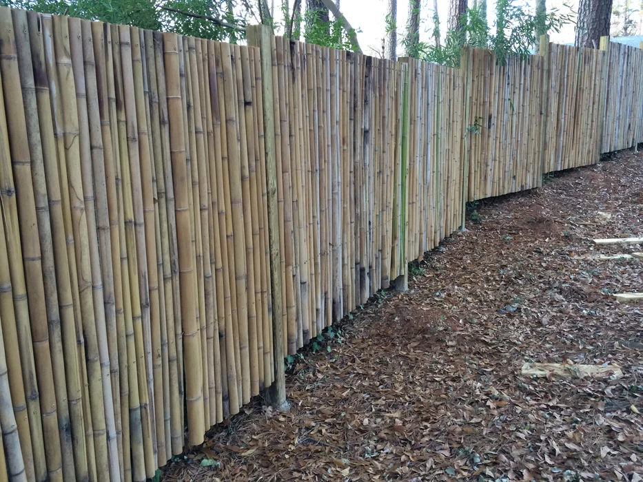 Staggered bamboo fence