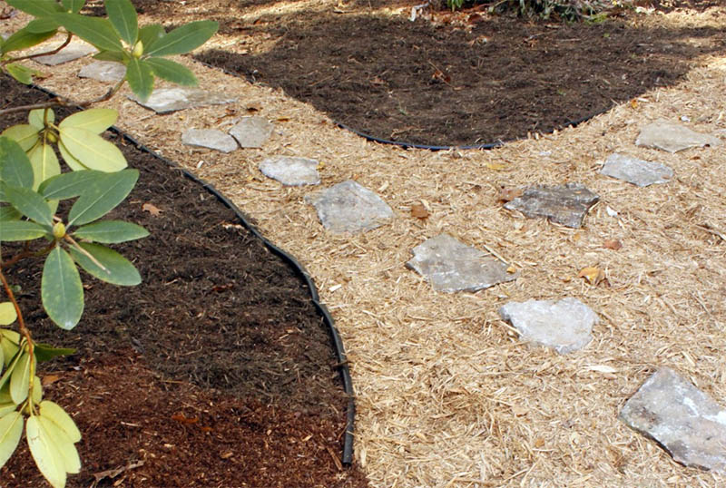 Wood Mulch Path
