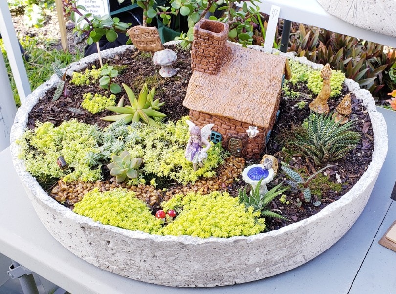a beautiful fairy garden