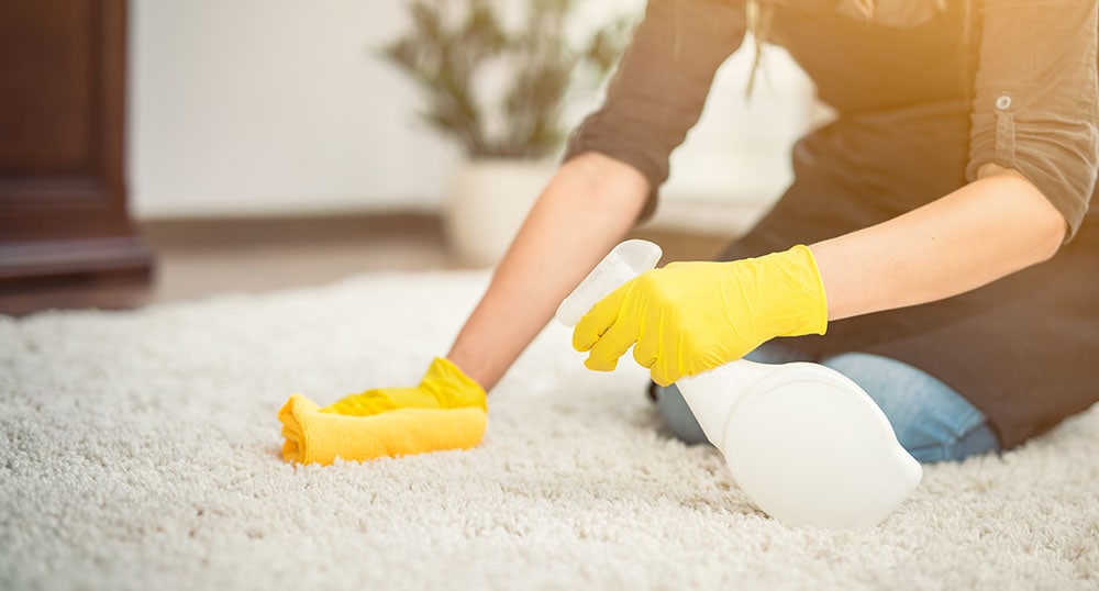 blotting rug with towel and spray