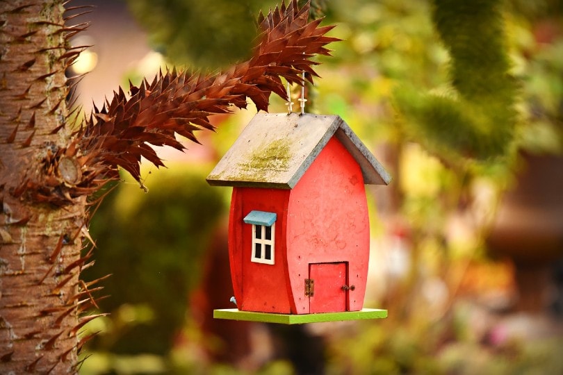 colorful birdhouse