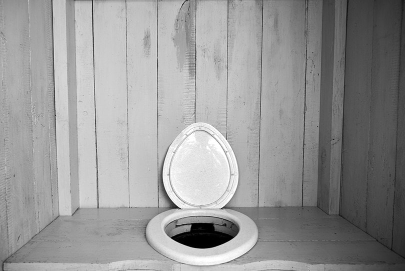 composting toilets