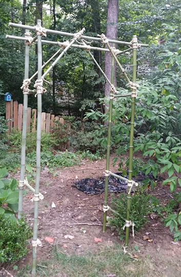 diy bamboo pergola