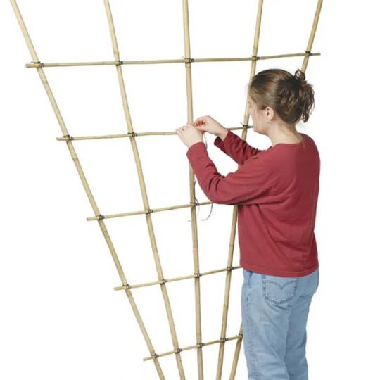 diy bamboo trellis