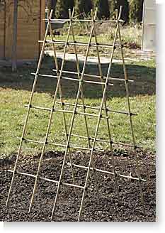 diy bamboo trellis