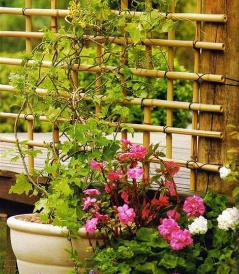 diy bamboo trellis