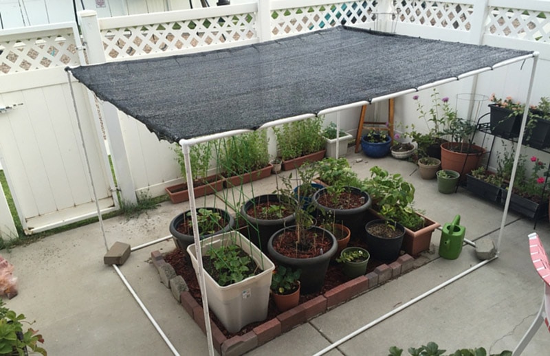 diy freestanding shade canopy