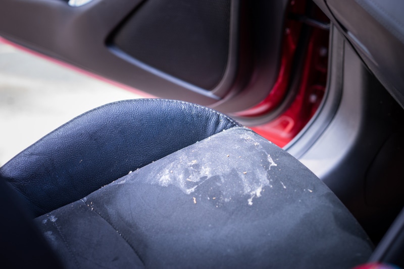 dog vomit on car seat