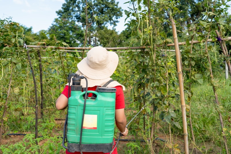 farmer spraying pesticides