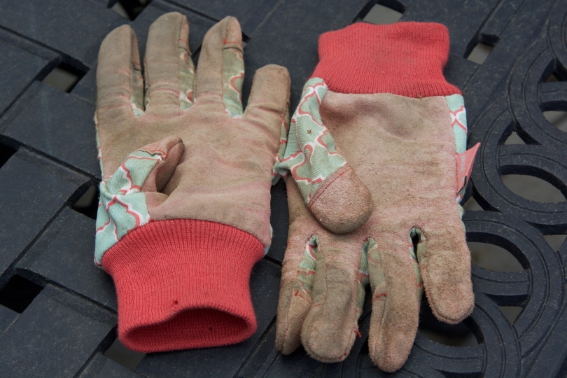 garden gloves