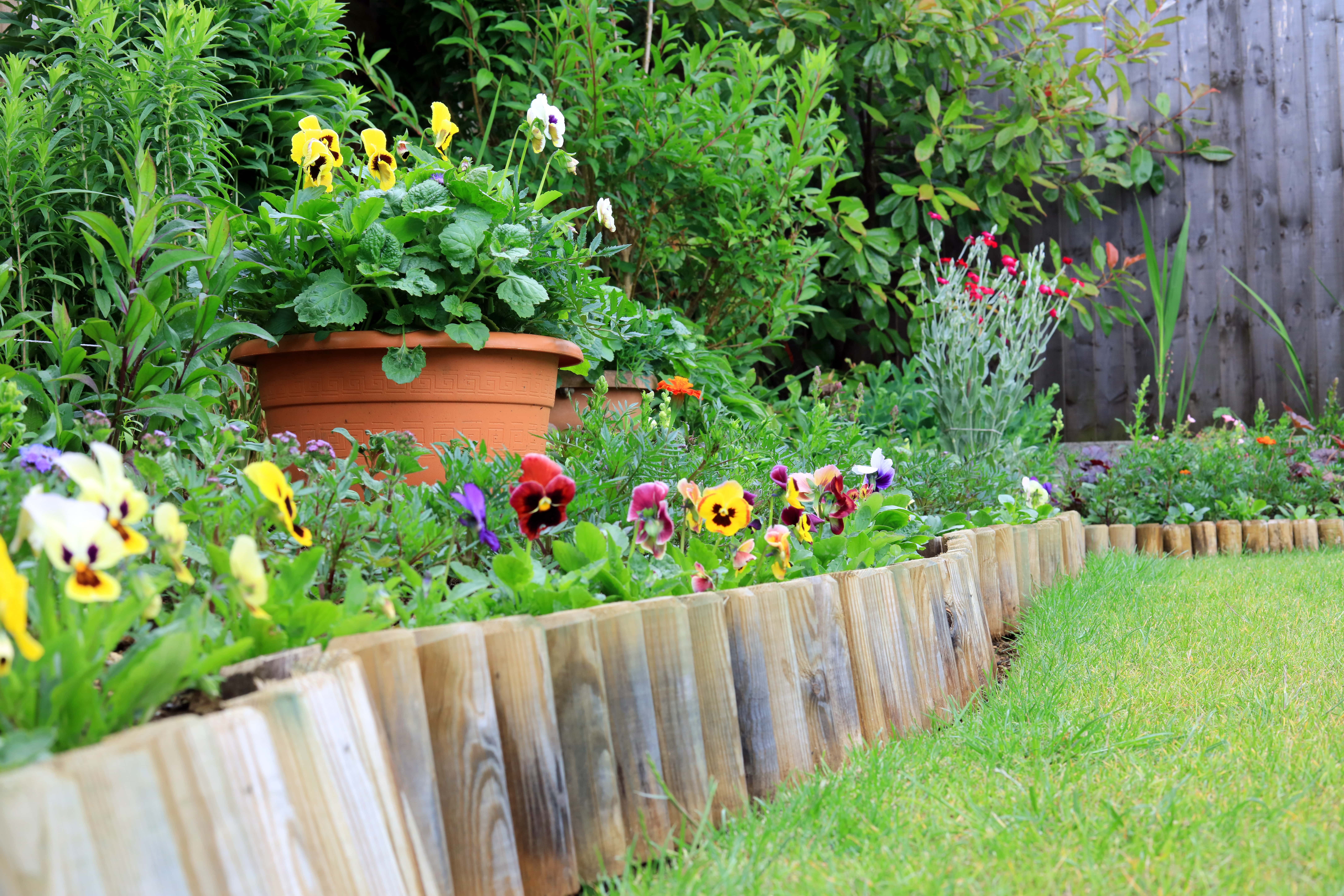 garden with wooden edge