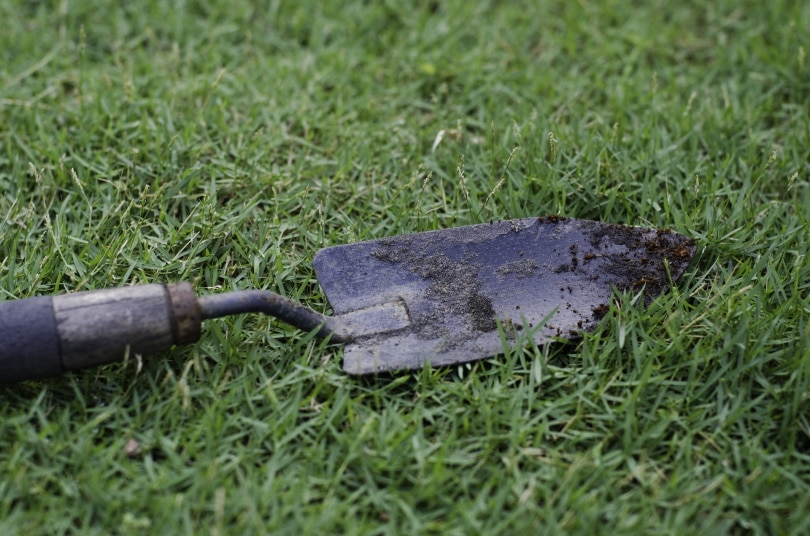 hand-trowel