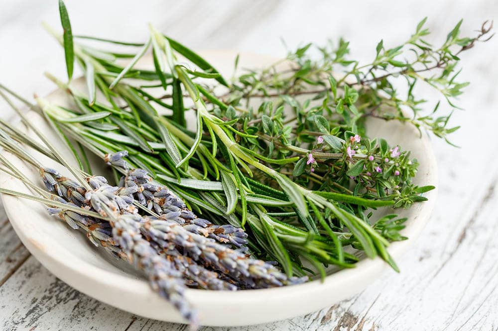 herbs on a small plate