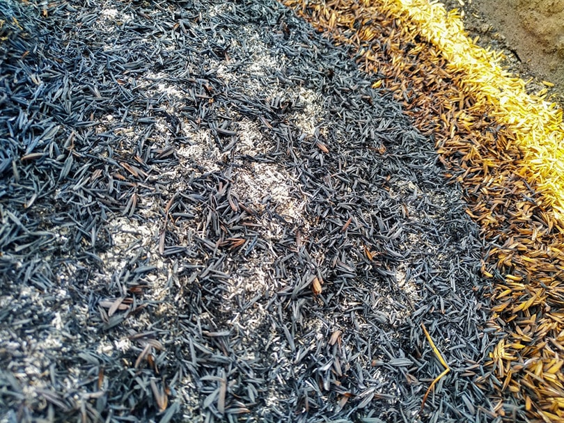 hot compost rice