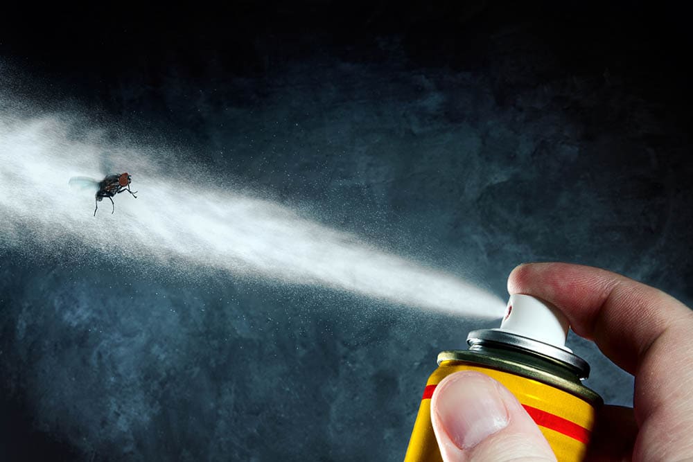 killing bug with pest spray