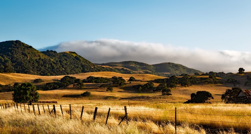 land with fence