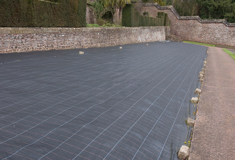 landscape fabric covering weeds