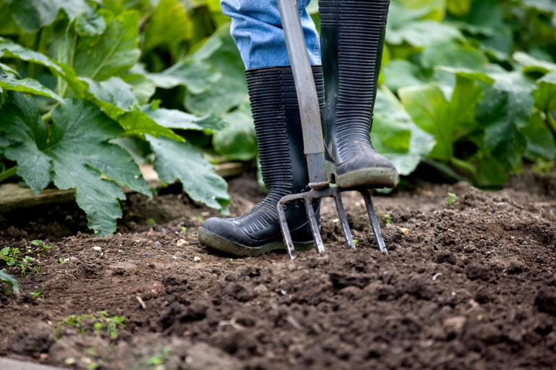 man using gardening fork