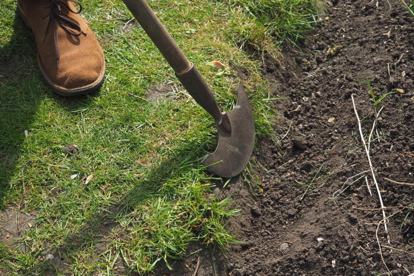 man using old edger tool