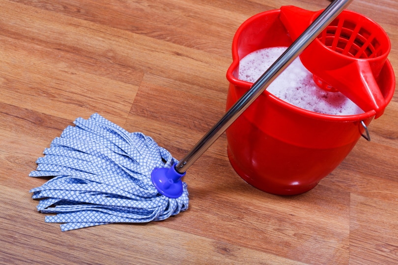 mop and red bucket on wooden floor