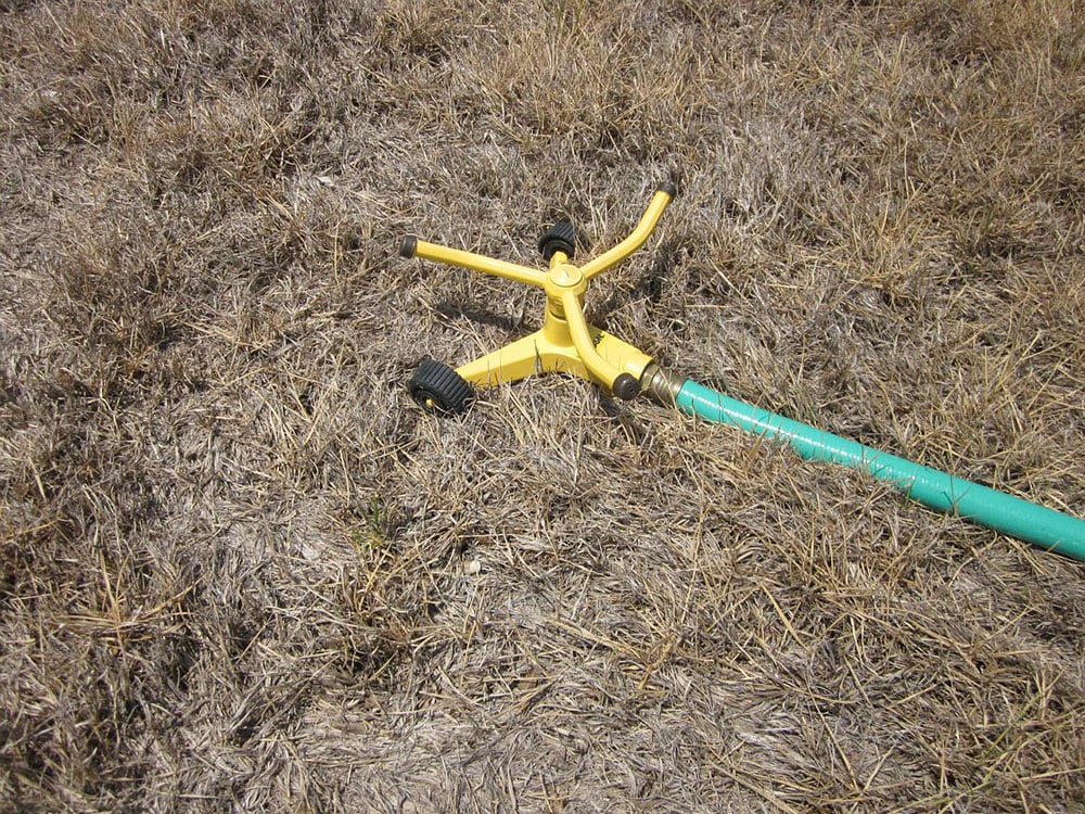 multi-stream sprinkler on the ground