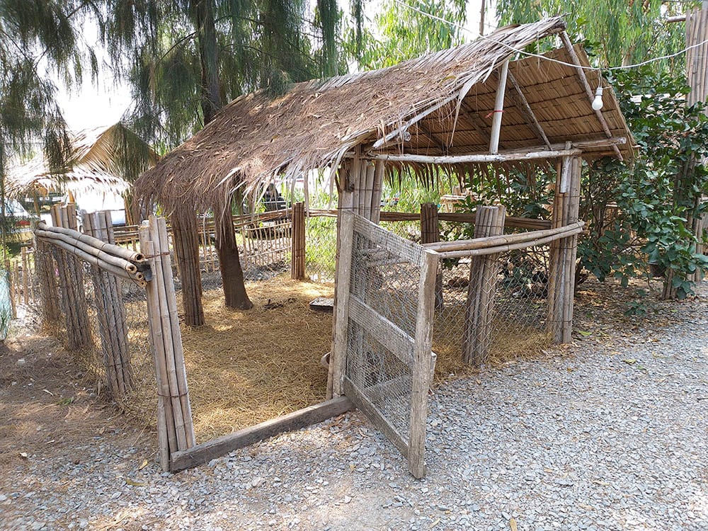 outdoor chicken coop