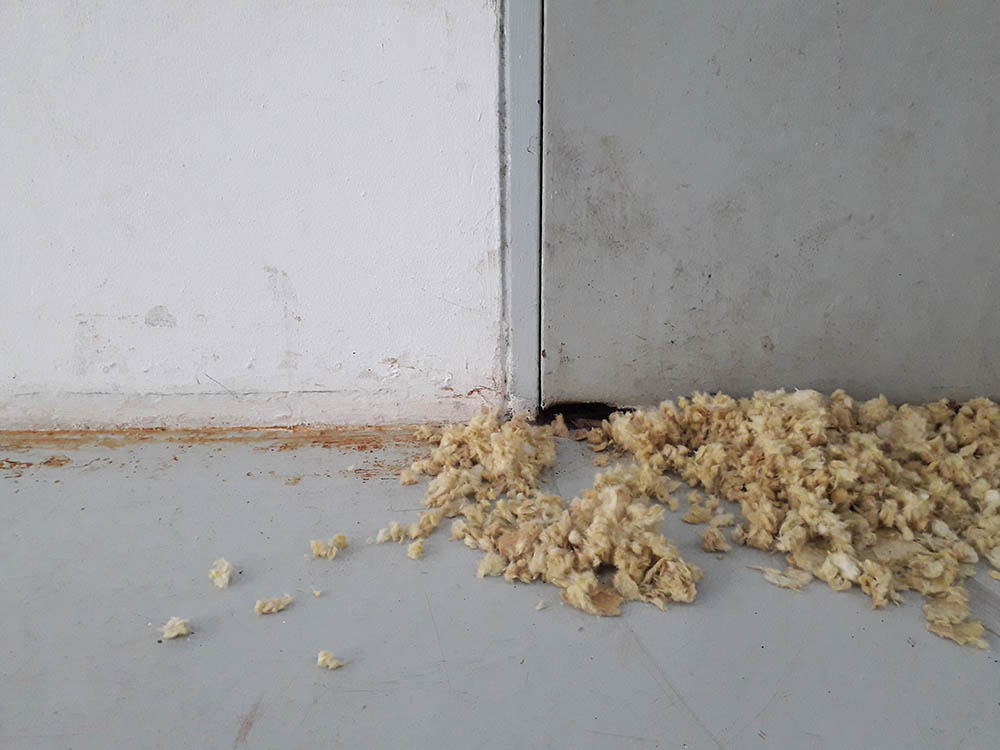rat hole in the garage