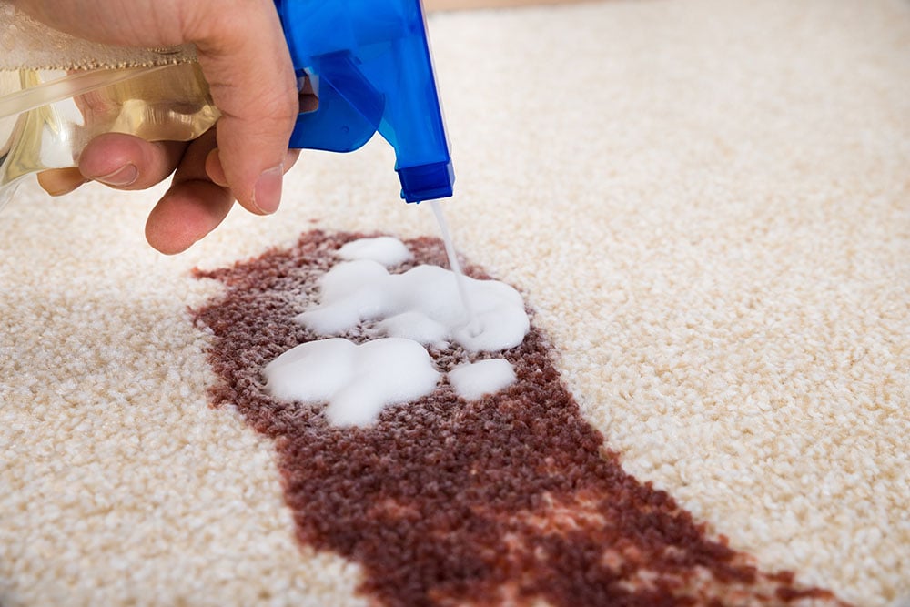 spraying on the rug stain