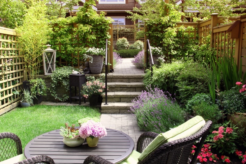 summer garden
