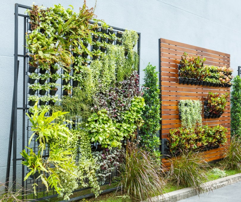 vertical garden