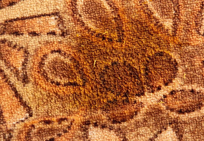 vomit on carpet