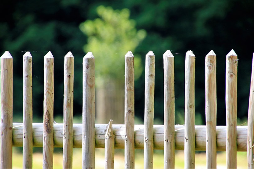 wooden garden fence