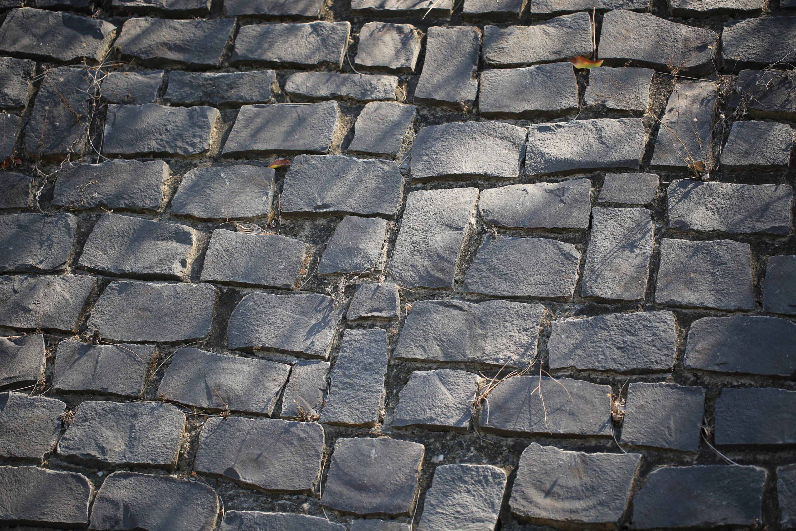 Aged Gray Bricks