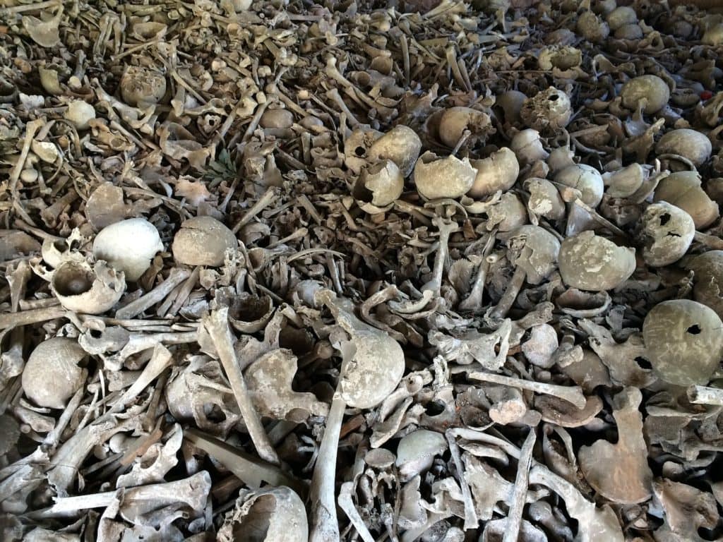 Bones