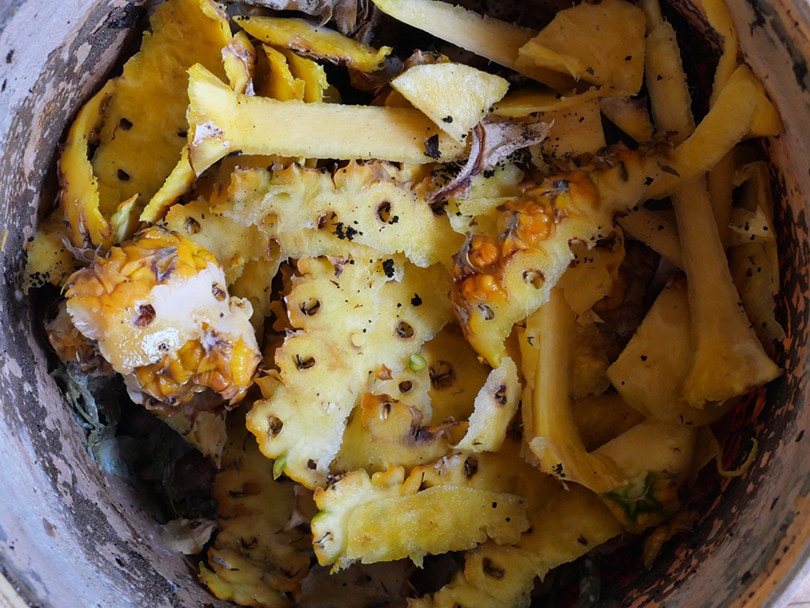 Compost Pineapple